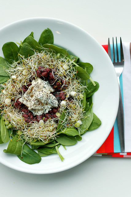 Adzuki beans, Gorgonzola Cheese and Alfalfa Sprouts "