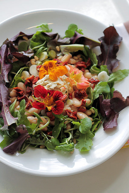 Cannellini Beans, Baba Ganoush and Flowers